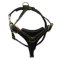 Tracking and Walking English Mastiff Harness made of Leather