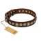 'Ancient Warrior' Mastiff Brown Leather Dog Collar