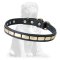 Designer Leather Mastiff Collar with Plates