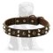 Mastiff Decorated Leather Сollar | Studs and Pyramids