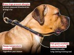 Rolled Choke Leather Collar for Mastiff