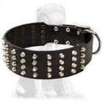 Studded Leather Mastiff Collar