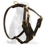 Y-Shaped American Bandogge Dog Harness for Attack/Agitation Training