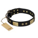 "Spanish night" FDT Artisan Fashionable Leather Walking Mastiff Collar - 1 1/2 inch (40mm) wide