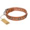 'Daily Chic' FDT Artisan Tan Leather Mastiff Collar with Decorations