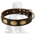 Gorgeous vintage Mastiff leather collar