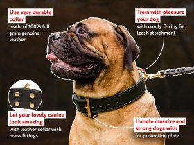 Mastiff Training Black dog collar