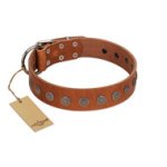 "Lucky Star" Handmade FDT Artisan Designer Tan Leather Mastiff Collar with Round Plates