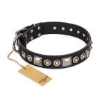 'Eternal Beauty and Style' FDT Artisan Adorned Black Leather Mastiff Dog Collar - 1 1/2 inch (40mm) wide