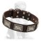 Luxurious Mastiff Leather Collar with Nickel Plates
