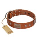 "Great Obelisk" Handcrafted FDT Artisan Tan Leather Mastiff Collar with Large Plates and Pyramids