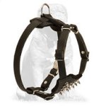 Mastiff Leather Puppy Harness with Spiked Padded Chest Plate