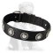 Nylon Mastiff collar with silver conchos