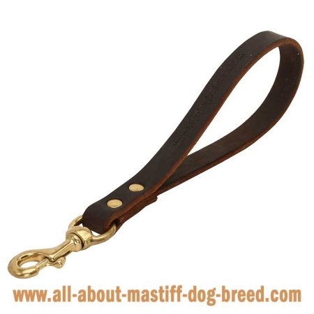 Comfy short Mastiff leash made of leather