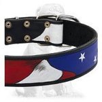 Eye-catching American Pride multifunctional collar
