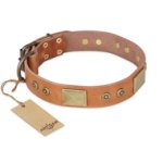 'The Middle Ages' FDT Artisan Handcrafted Tan Leather Mastiff Dog Collar