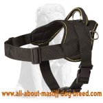 Spanish Mastiff Nylon Tracking/Pulling Harness