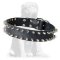 Mastiff Leather Spiked Dog Collar - Designer Collar with Two Rows of spikes