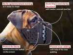 Reliable Training Leather Bullmastiff Muzzle
