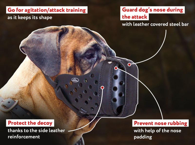 Reliable Training Leather Bullmastiff Muzzle