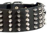 3 inch Spiked and Studded Mastiff collar