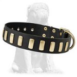 Gorgeous Wide Leather Dog Collar With Plates for Mastiffs