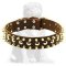 Three Rows brass Leather Spiked and Studded Mastiff collar
