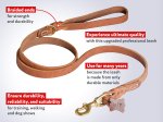 Latigo Leather Braided Handle Classic Waist 6ft Leash for Mastiff