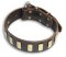 Mastiff Quality Brown Dog Collar with Plates