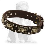 Mastiff Leather Collar with Studs and Vintage Plates