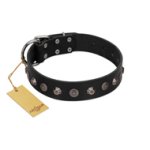"Black Knight" Handmade FDT Artisan Black Leather Mastiff Collar with Silver-Like Studs