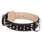 Exquisite Mastiff Leather Collar with Nickel Spikes