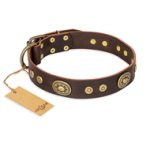 'One-of-a-Kind' FDT Artisan Mastiff Decorated Brown Leather Dog Collar