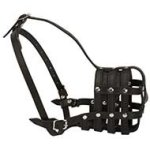 Lightweight muzzle for American Bandogge Mastiff