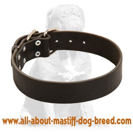 Simply elegant genuine leather collar