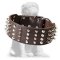 2 inch Leather Dog Collar with Studs and Spikes for Mastiff