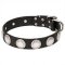Mastiff Wide Leather Dog Collar with Chrome Plated Circles