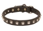 Rich Mastiff Leather Collar with Studs
