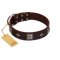 "Cold Star" Designer FDT Artisan Brown Leather Mastiff Collar with Silver-Like Adornments