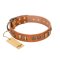 "Natural Beauty" FDT Artisan Tan Leather Mastiff Collar with Old Bronze-like Circles and Plates