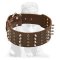 Posh Mastiff Spiked and Studded Collar