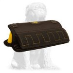 Mastiff Puppy and Young Dog Bite X-Builder