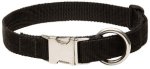 Nylon Mastiff Collar with Nickel Plated Buckle