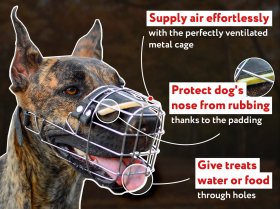 New Wire Basket Dog Muzzle For Mastiff or similar Big Dogs