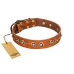 "Precious Relic" FDT Artisan Tan Leather Mastiff Collar Adorned with Old Bronze Look Studs