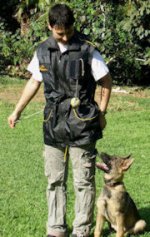 Nylon Dog Trainer Vest for Training your Mastiff
