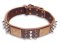 Leather Brown collar 25'' for Mastiff /25 inch dog collar - C86