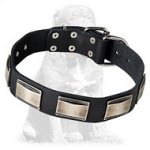 Fashionable Leather Mastiff Collar with Nickel Plates