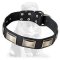 Fashionable Leather Mastiff Collar with Nickel Plates