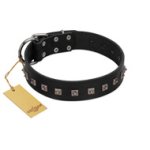 "Natural Beauty" Premium Quality FDT Artisan Black Designer Mastiff Collar with Dotted Studs